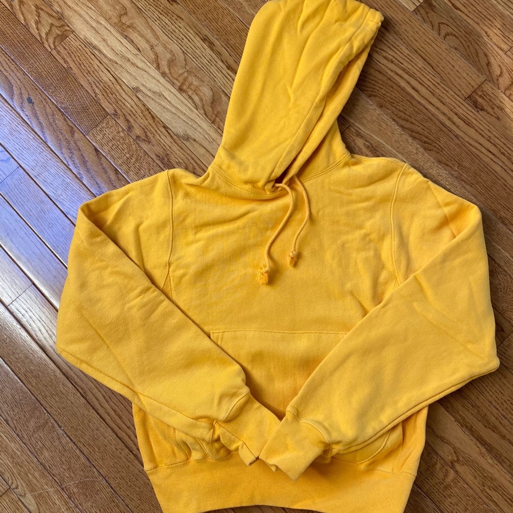 Reverse weave champion hoodie